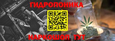 Альфа ПВП Сланцы