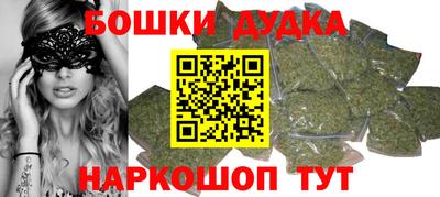 Альфа ПВП Сланцы
